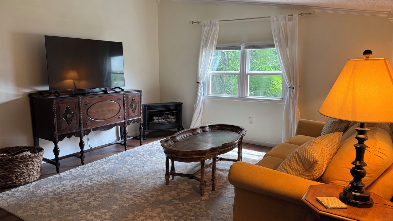 Photo of Livingroom in Landrum