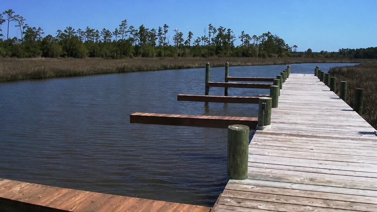 Photo of Others in Morehead City