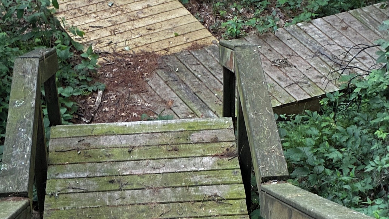Photo of Outdoor in Babcock