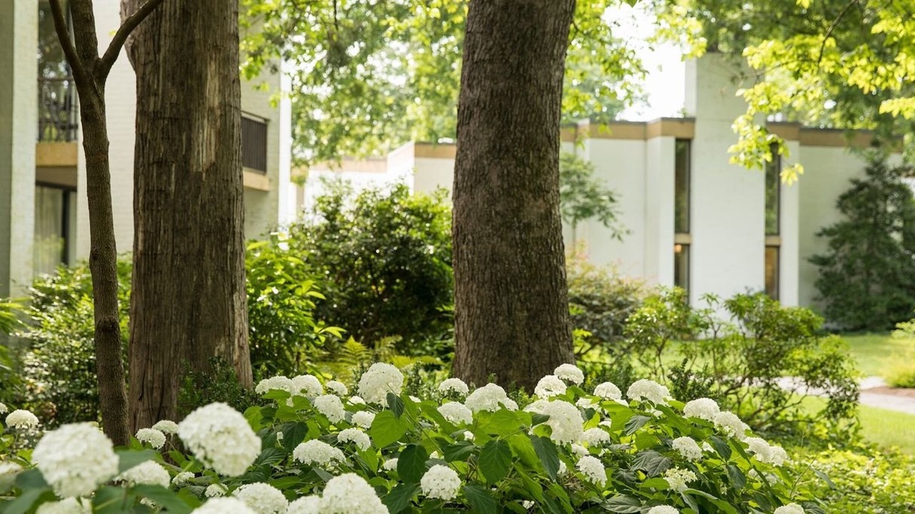 Photo of Outdoor in Williamsburg
