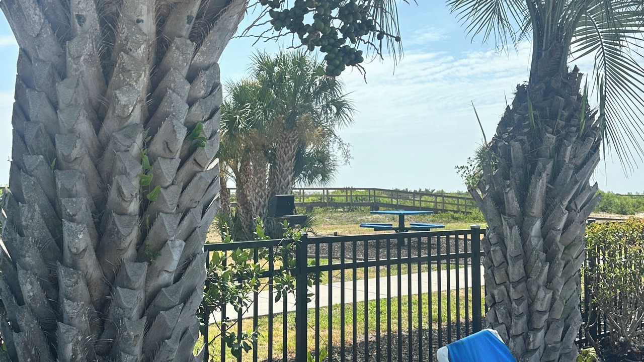 Photo of Outdoor in Oceanmarsh Subdivision