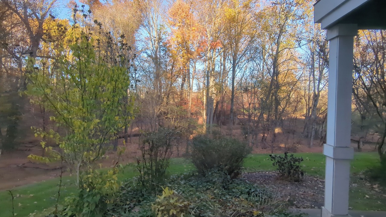 Photo of Outdoor in Germantown