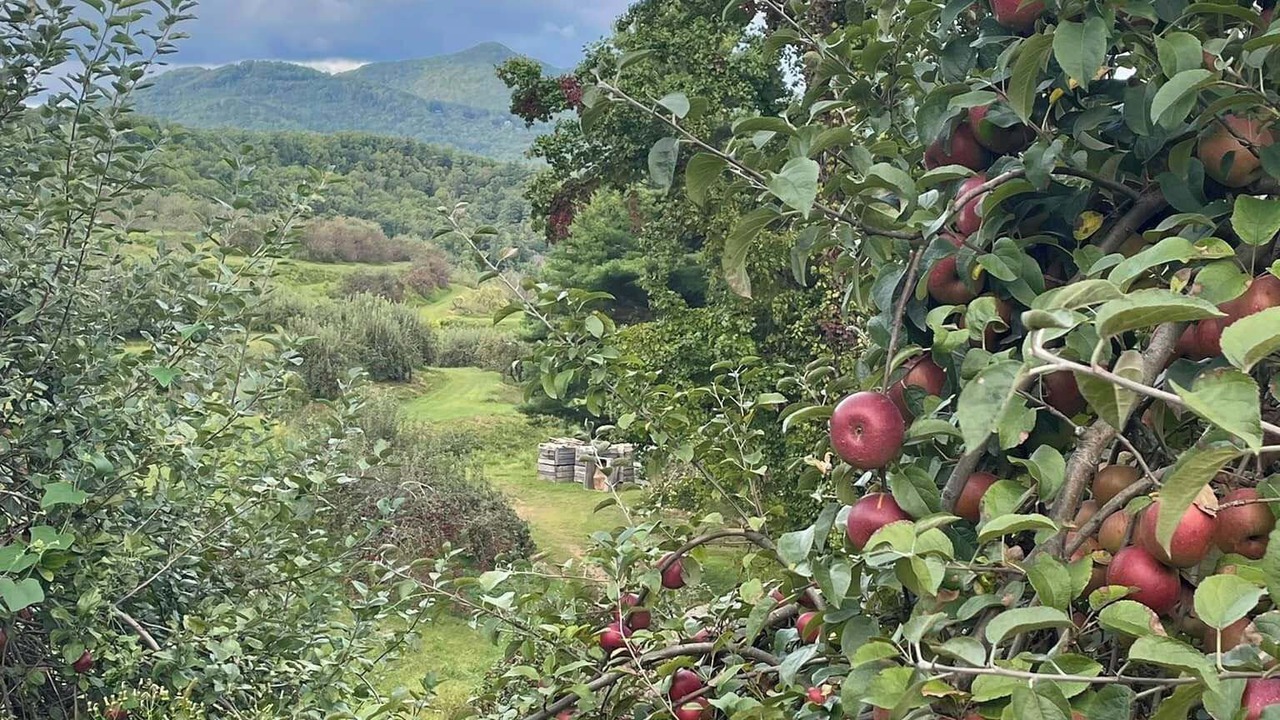 Photo of Others in Bakersville