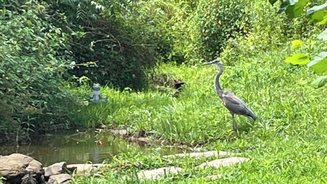 Photo of Others in Bakersville