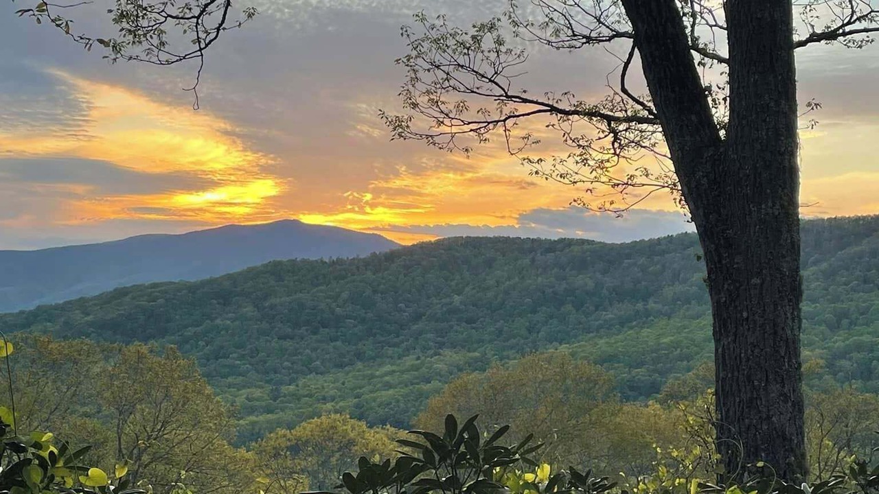 Photo of Others in Bakersville