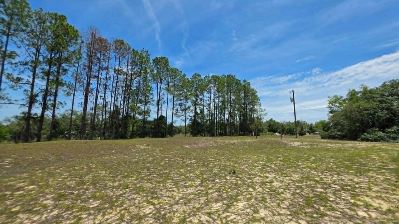 Photo of Others in Homosassa