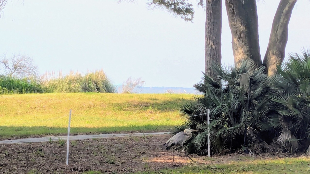 Photo of Others in Melrose on the Beach