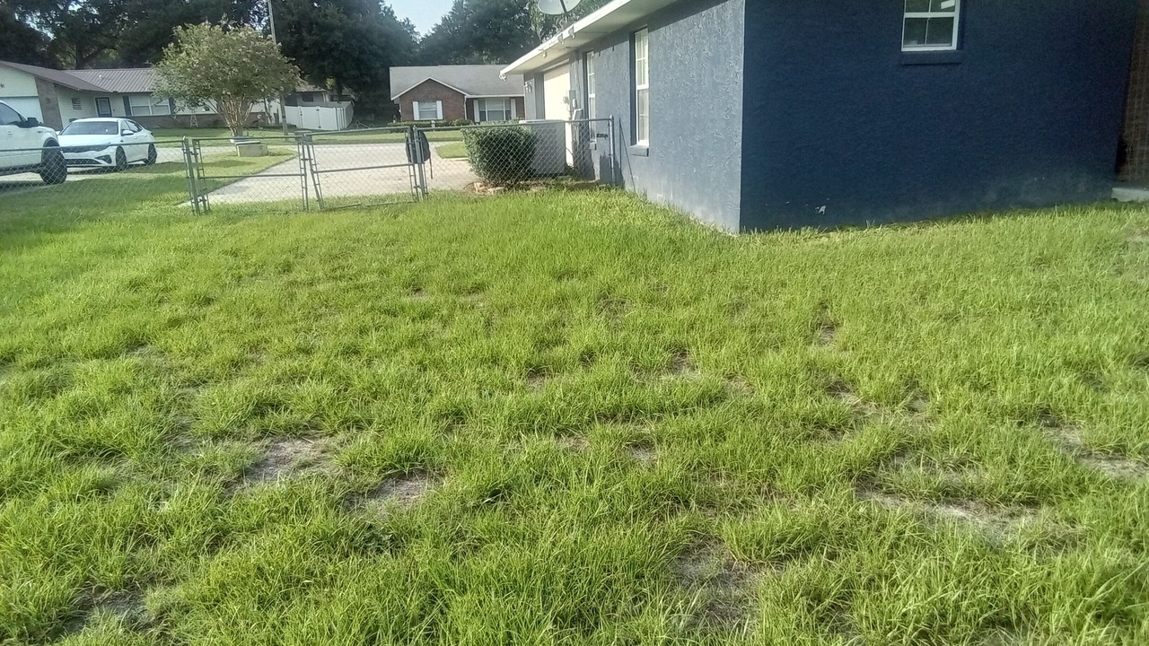 Photo of Outdoor in Candler