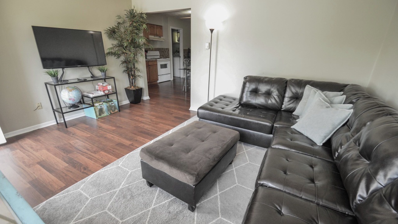 Photo of Livingroom in Elsmere