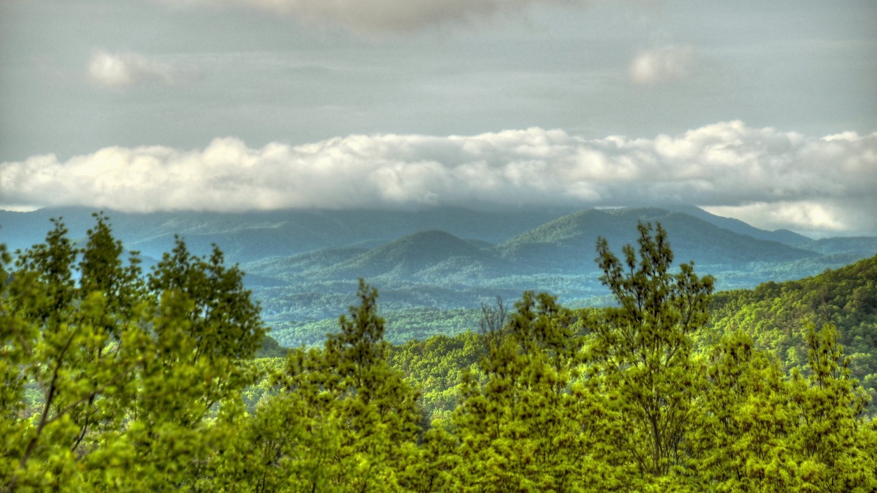 Photo of Others in Raccoon Ridge
