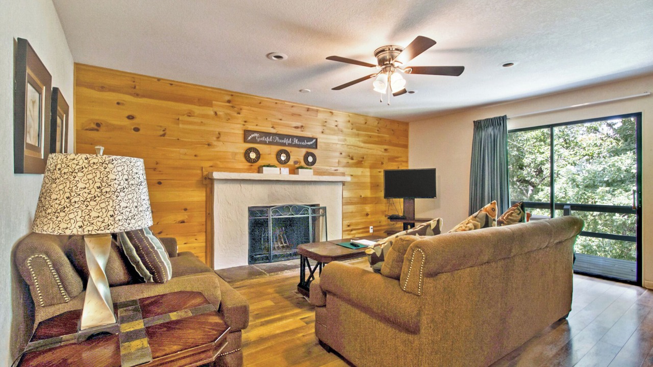 Photo of Livingroom in Lake Tansi