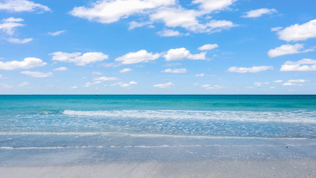 Photo of Others in Saint Armands Key