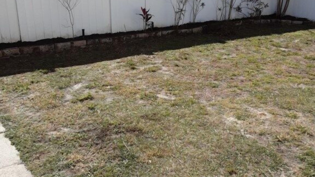 Photo of Outdoor in Lindfields