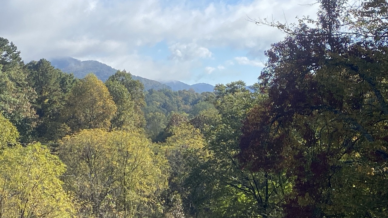 Photo of Outdoor in Fairview