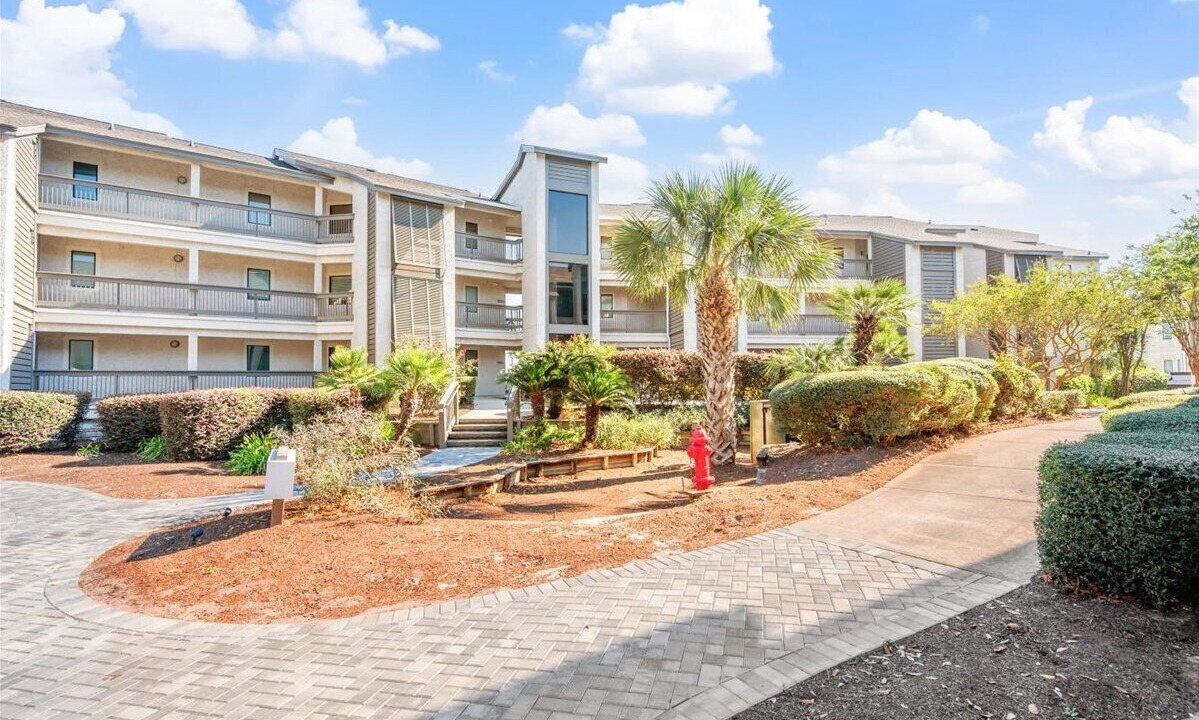 Photo of Outdoor in St. Simons Island