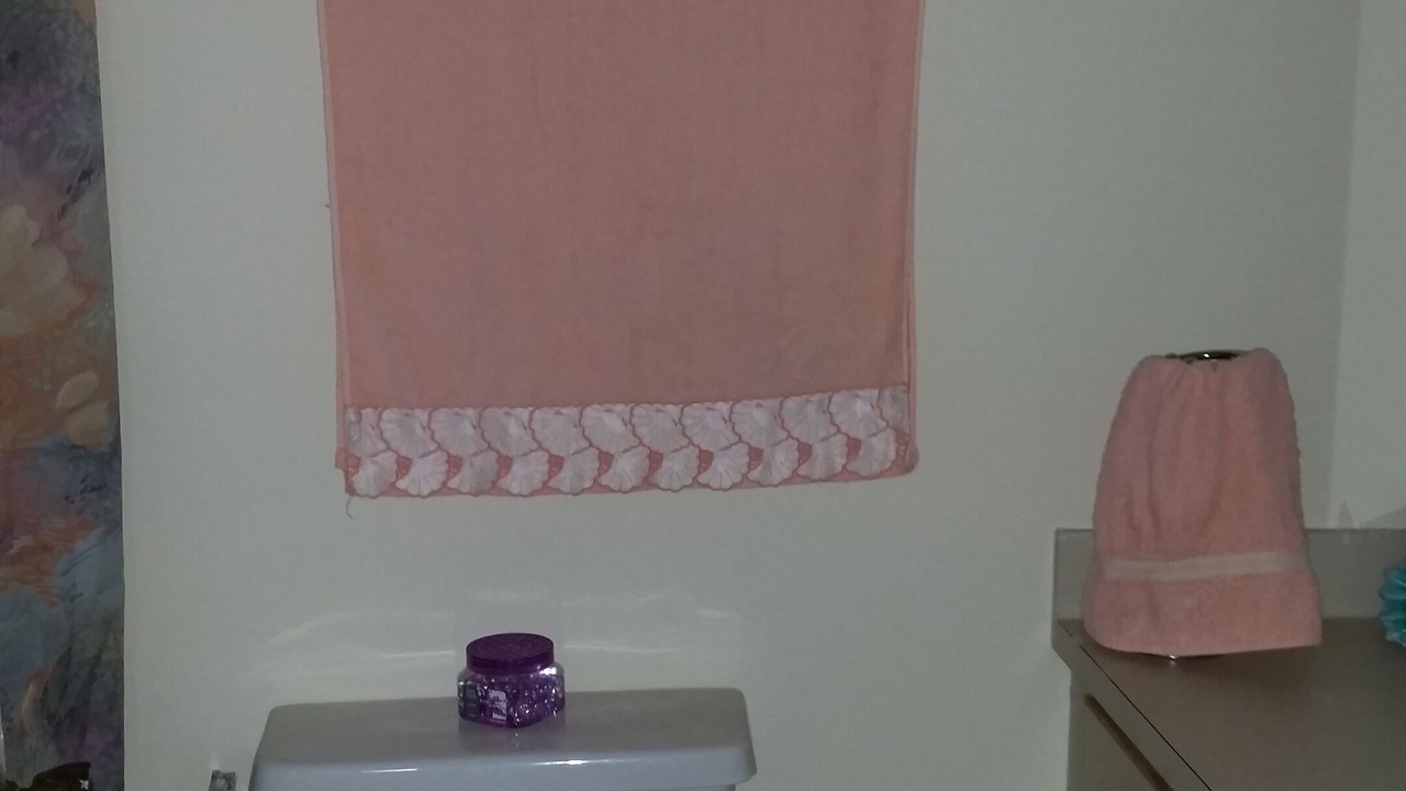 Photo of Bathroom in Pinellas Point