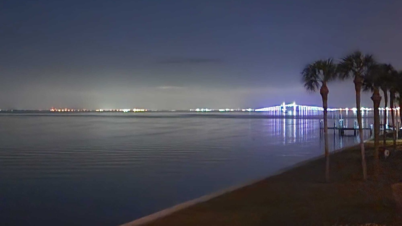Photo of Others in Pinellas Point