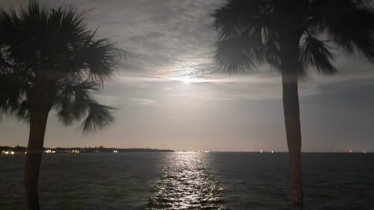 Photo of Others in Pinellas Point