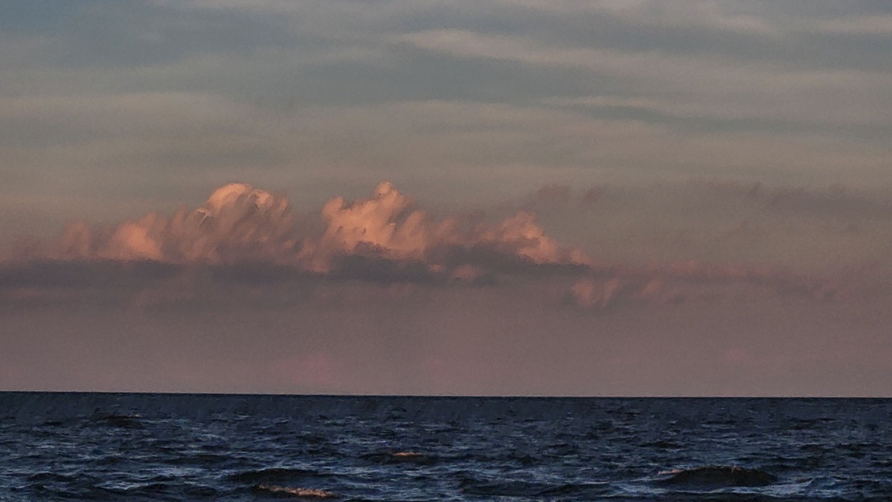 Photo of Others in Saint Simons Island