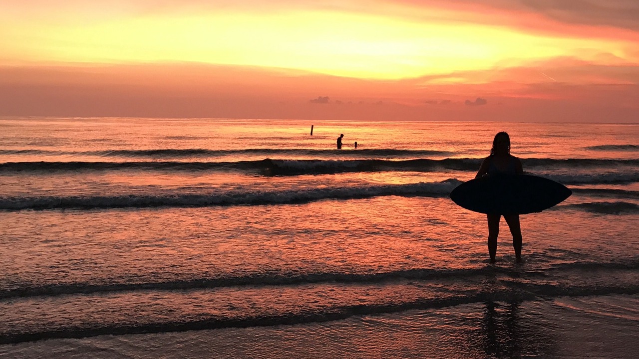 Photo of Others in Indian Rocks Beach