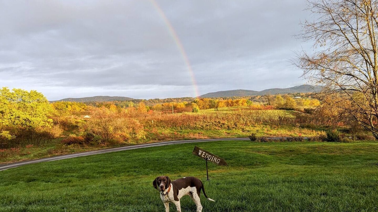 Photo of Others in Schuylerville