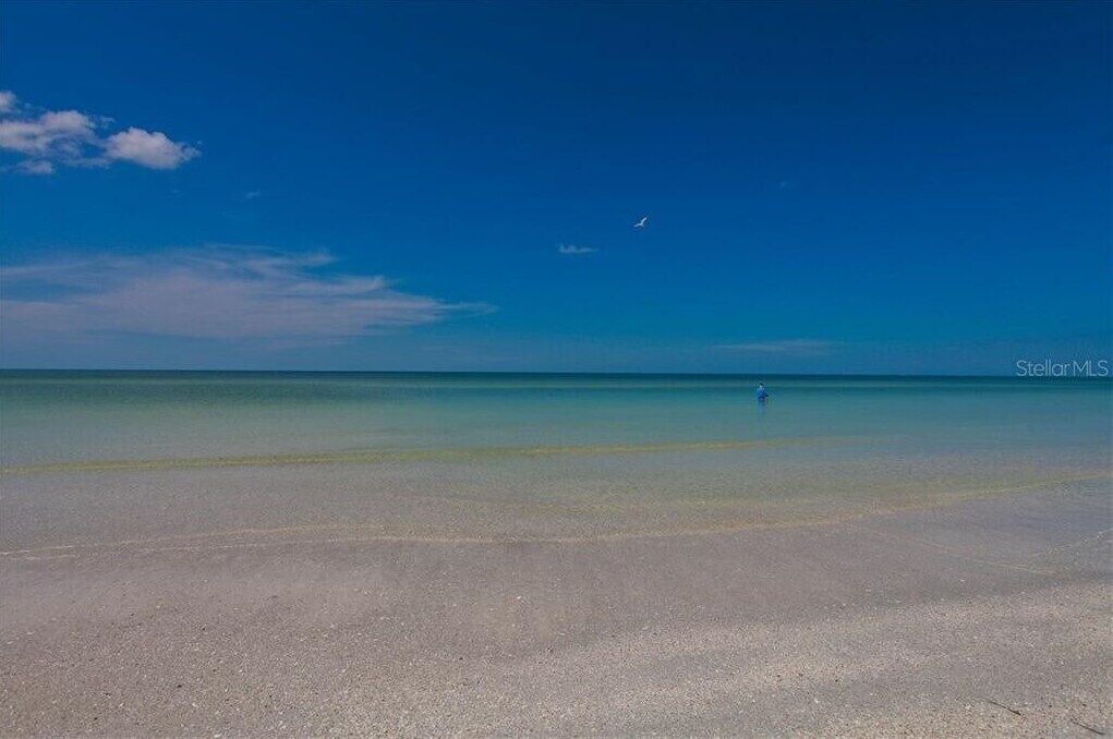Photo of Others in Longboat Key