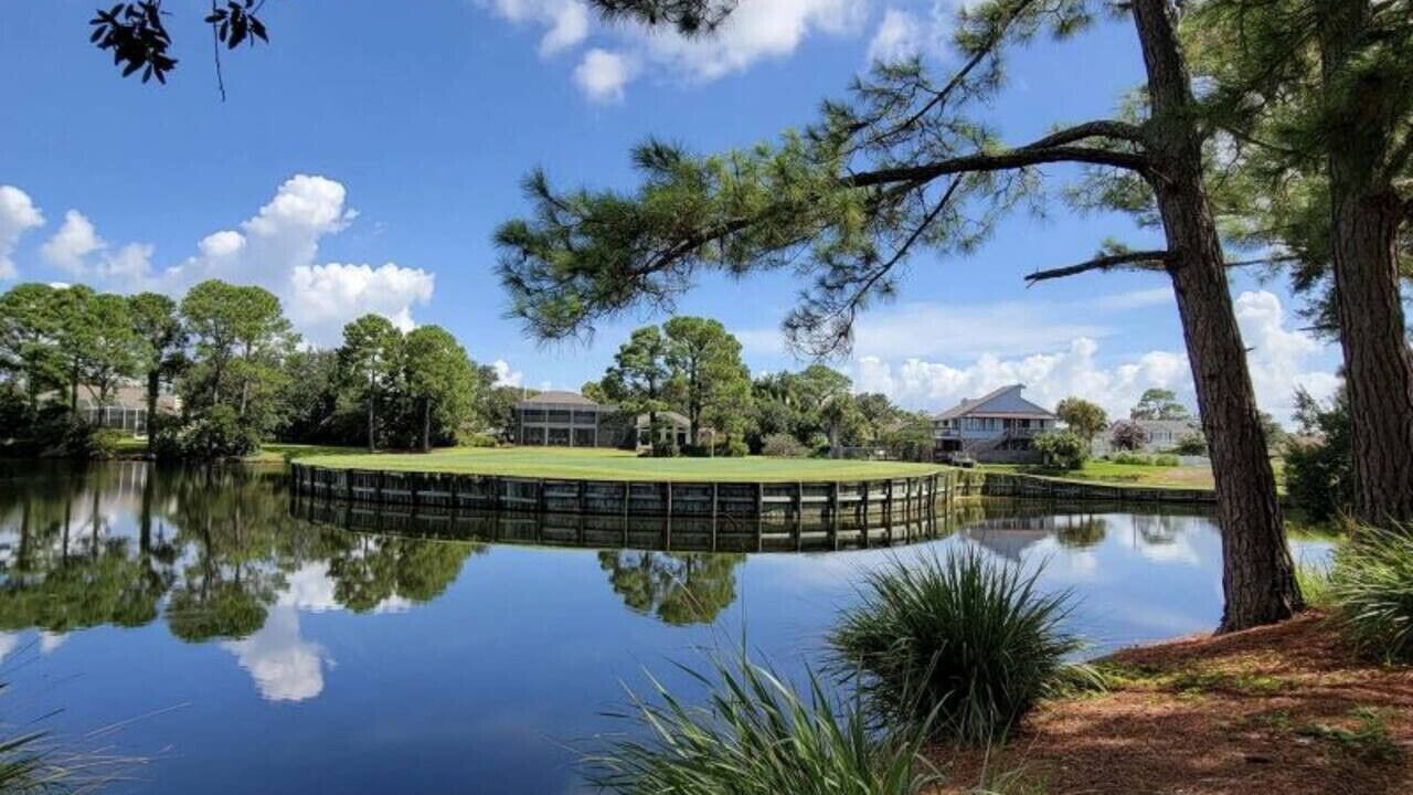 Photo of Others in Gulf Breeze