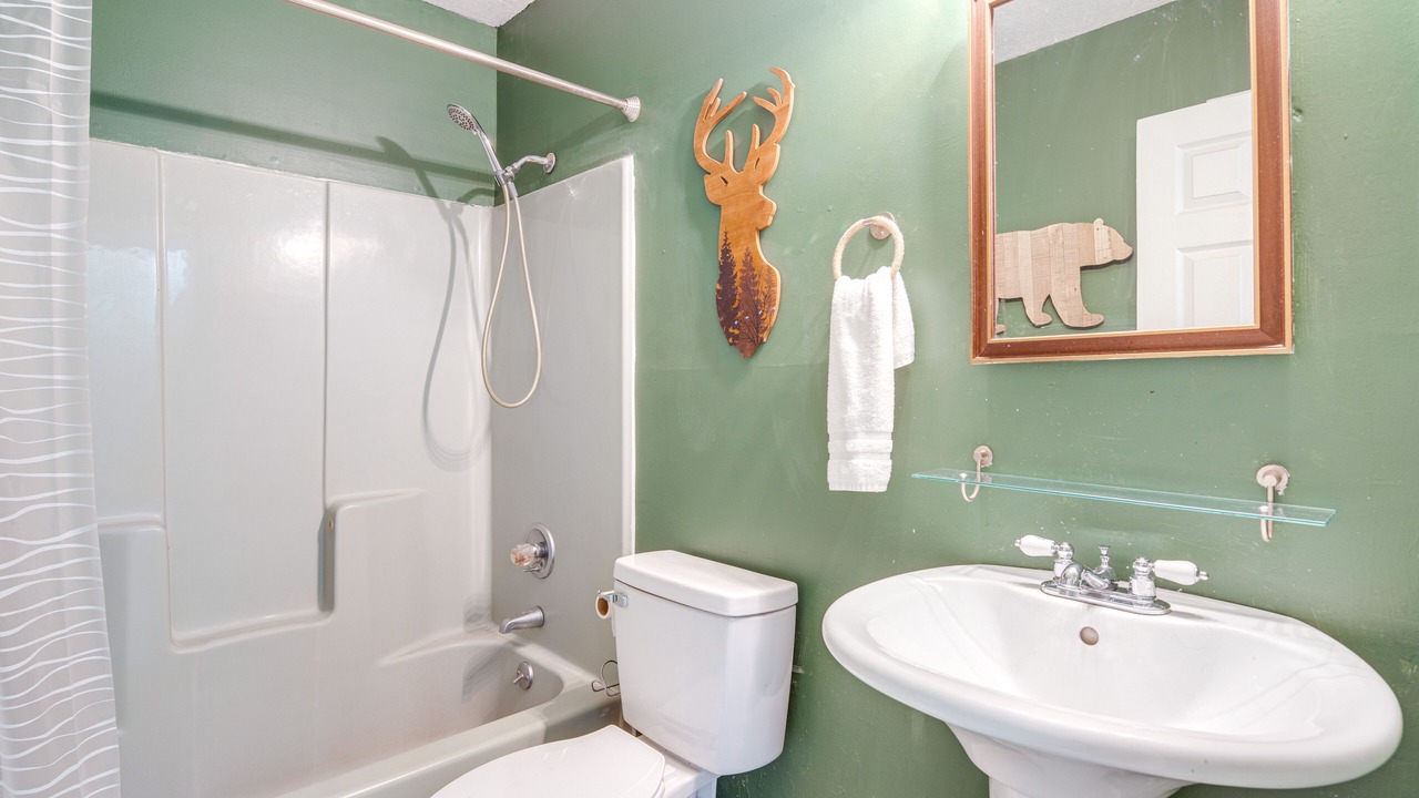 Photo of Bathroom in Fletcher