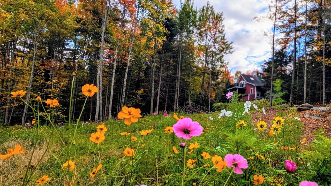 Photo of Outdoor in Warren