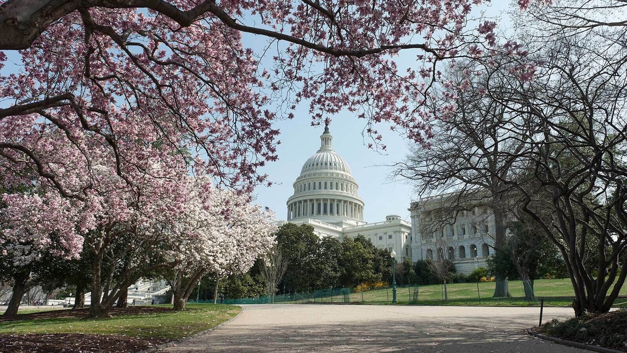 Photo of Others in Capitol Hill