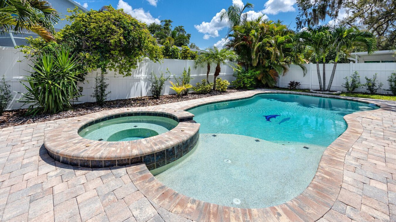 Photo of Outdoor in Palm Harbor