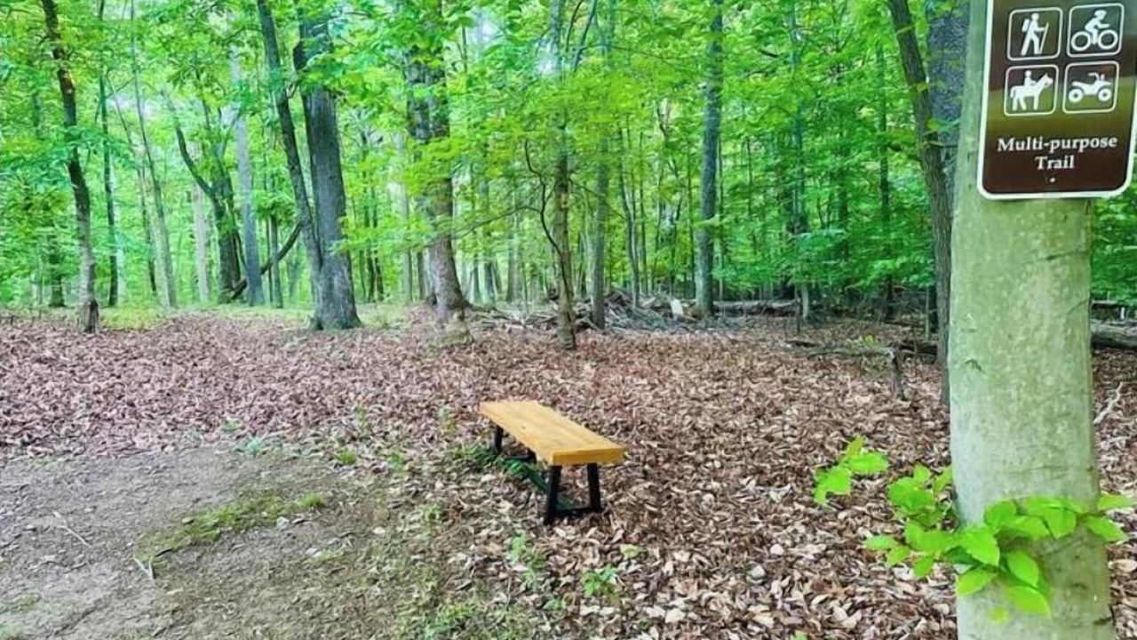 Photo of Outdoor in Dickerson
