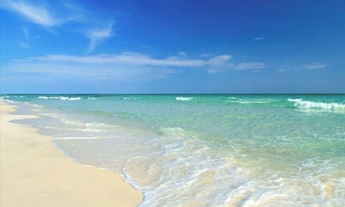 Photo of Others in Sarasota