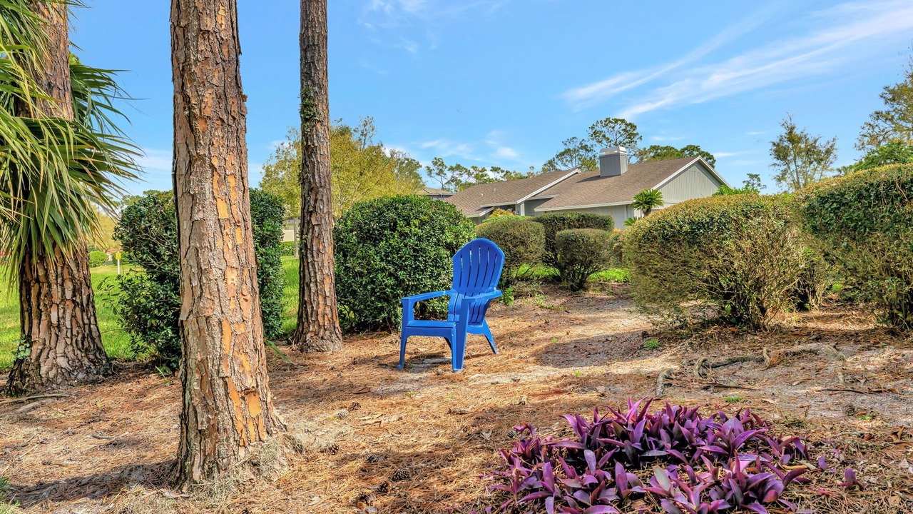 Photo of Outdoor in Saddlebrook