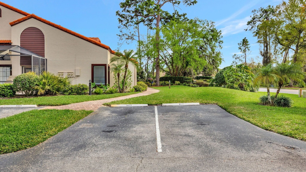 Photo of Outdoor in Saddlebrook