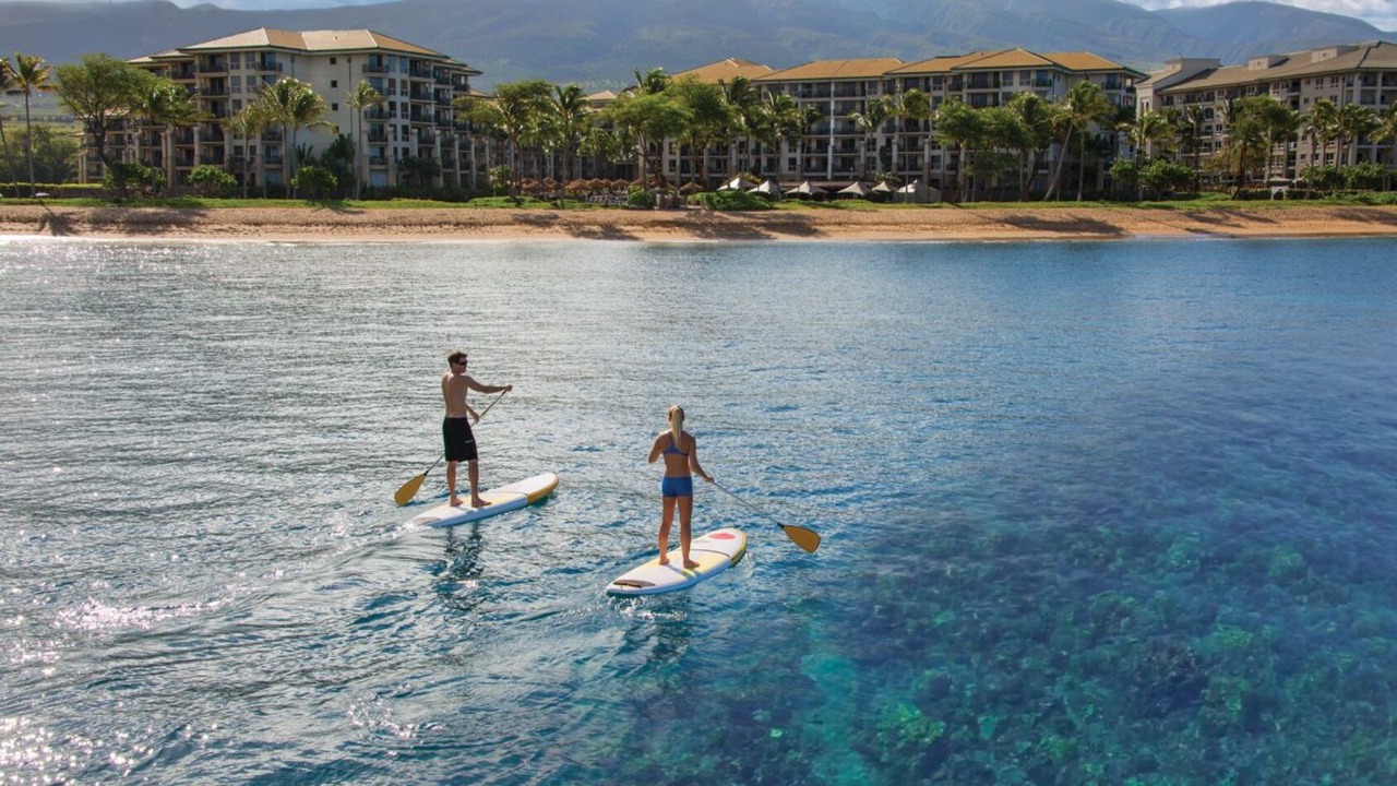 Photo of Others in Lahaina