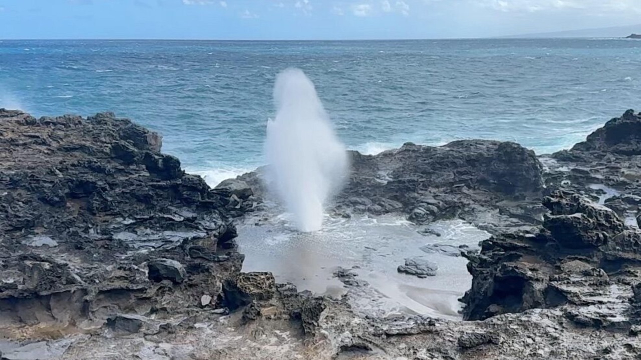 Photo of Others in Maalaea