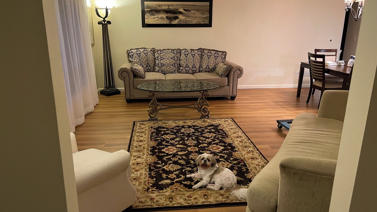 Photo of Livingroom in The Meadows