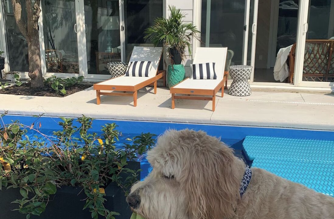 Photo of Patio Balcony in Dodds Addition