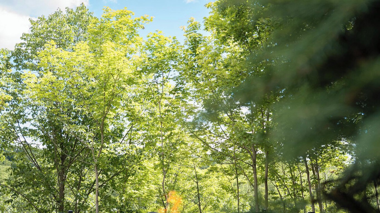 Photo of Outdoor in Shepherdstown
