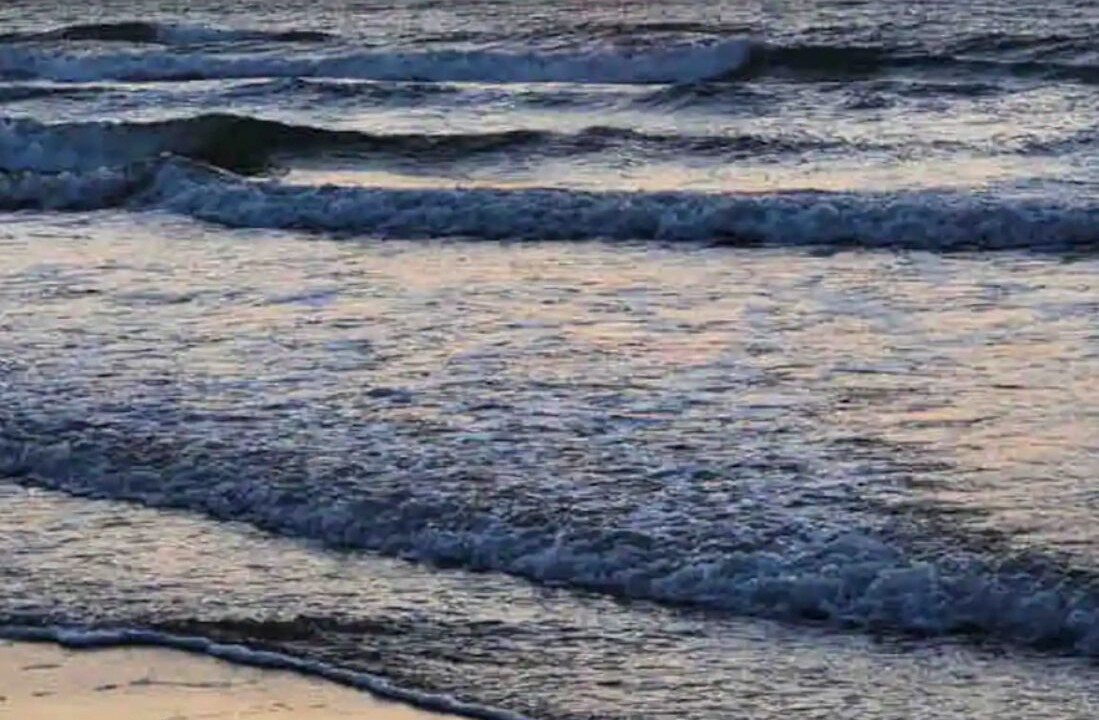 Photo of Others in Jamaica Beach