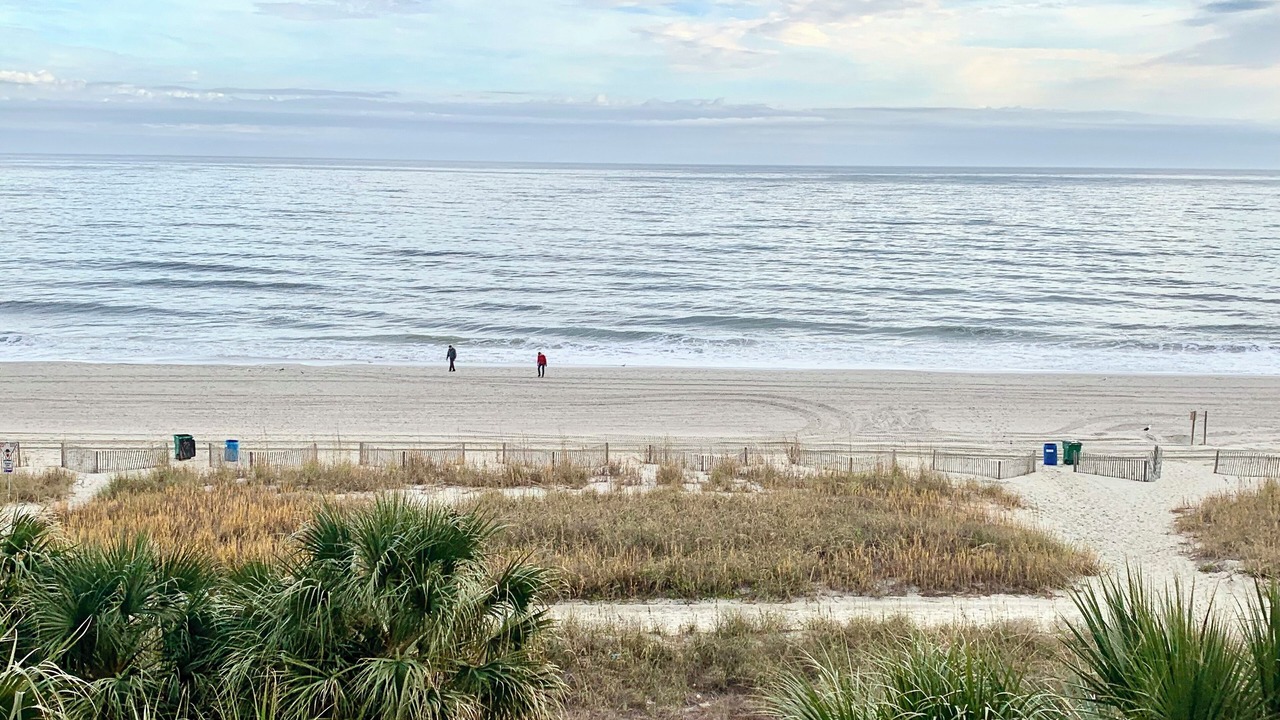 Photo of Others in Myrtle Beach
