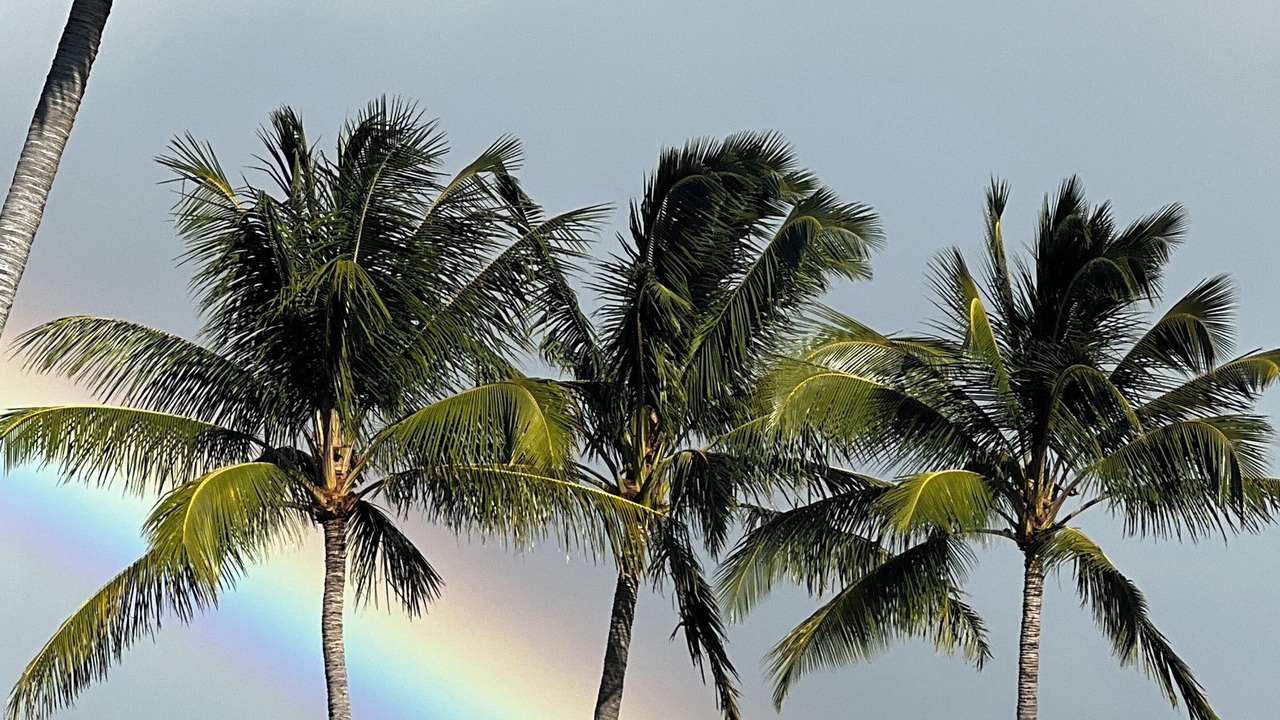 Photo of Others in Kahana