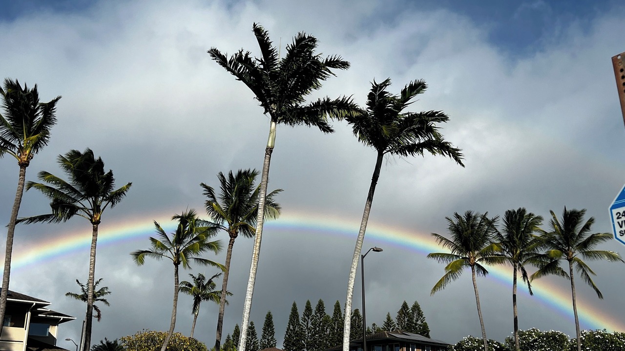 Photo of Outdoor in Kahana
