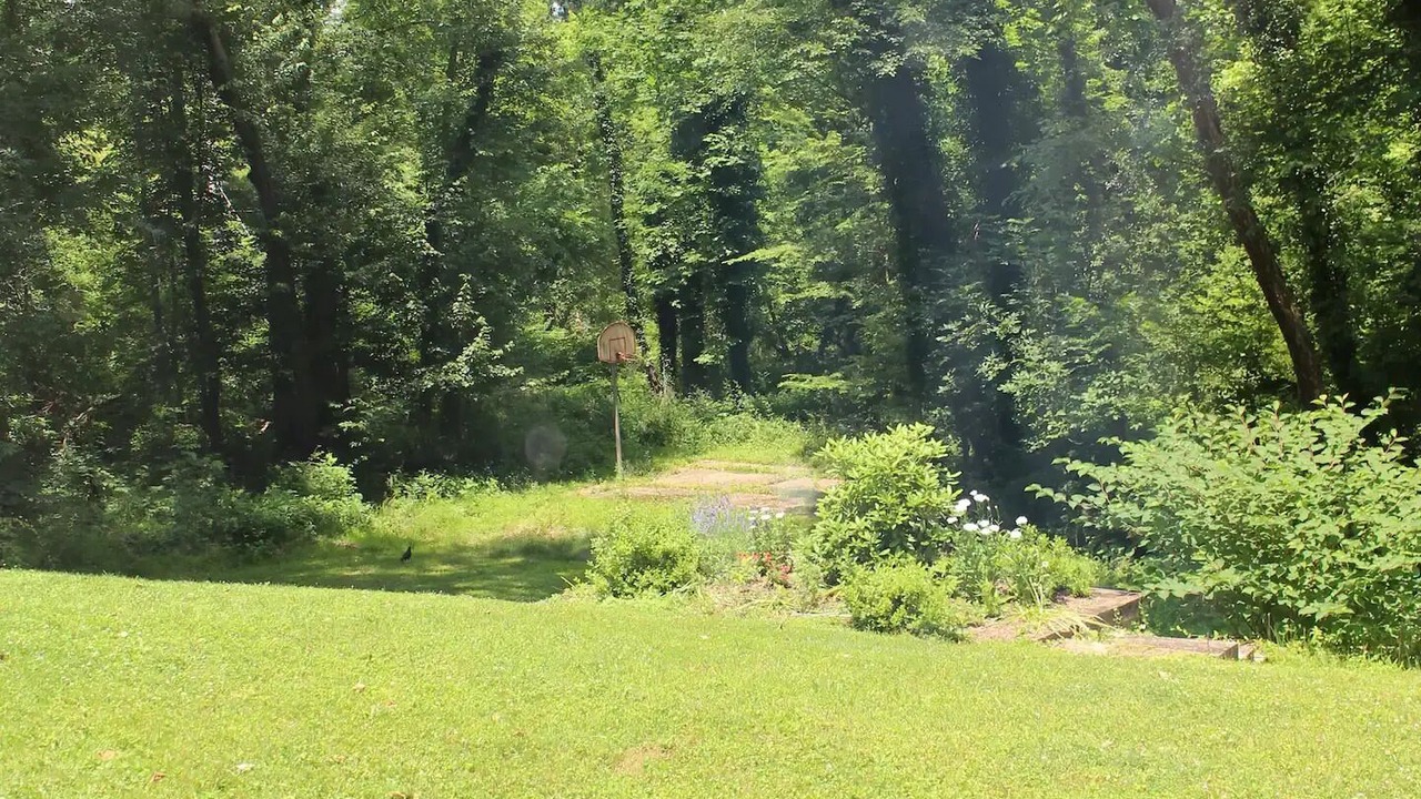 Photo of Others in McLean