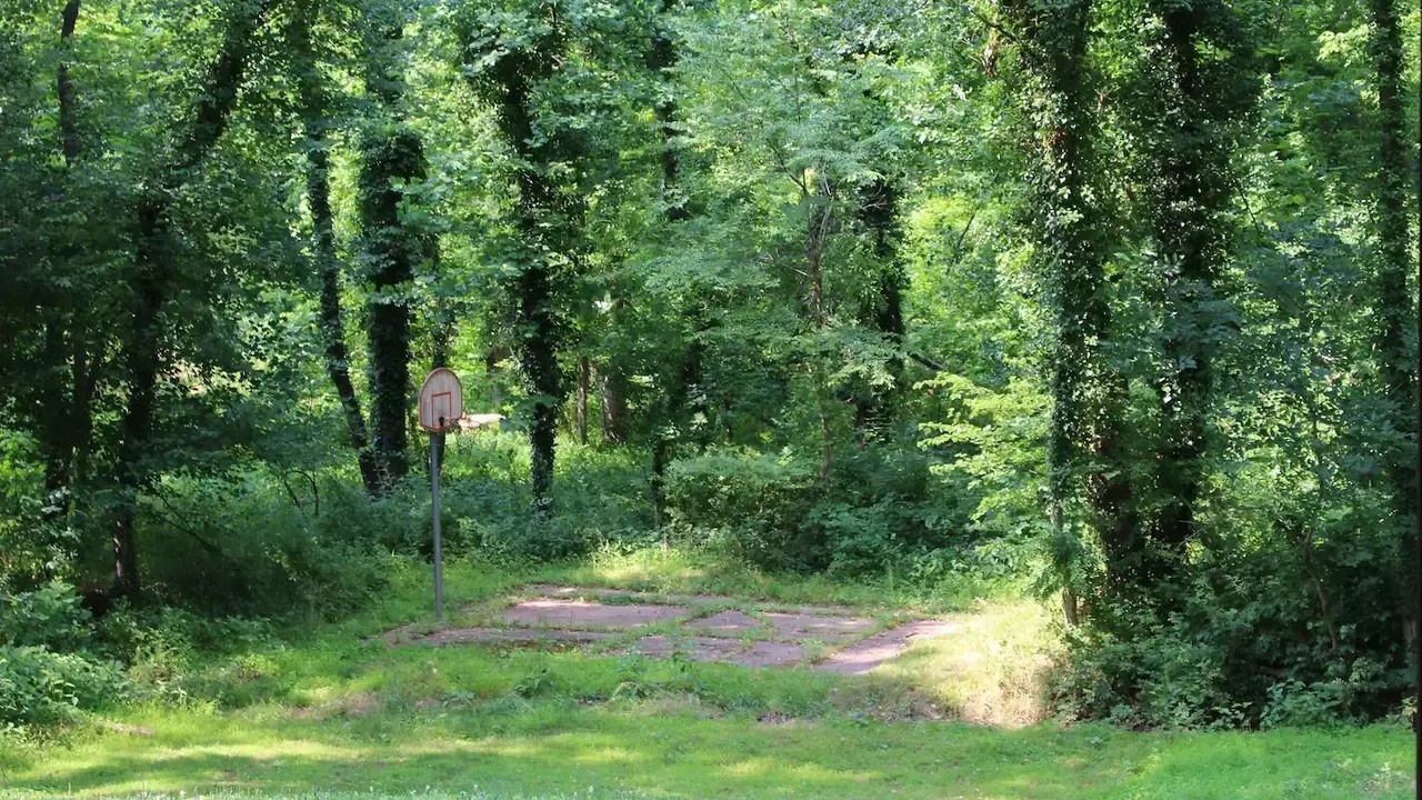 Photo of Outdoor in McLean