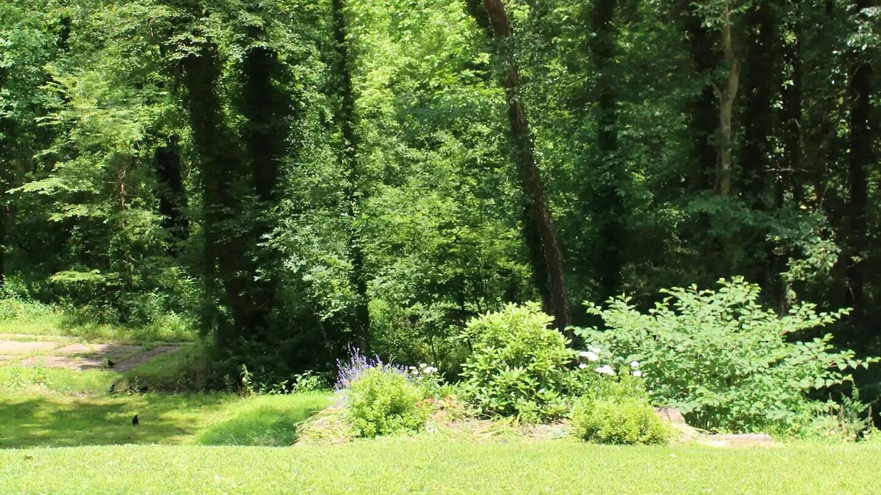 Photo of Outdoor in McLean