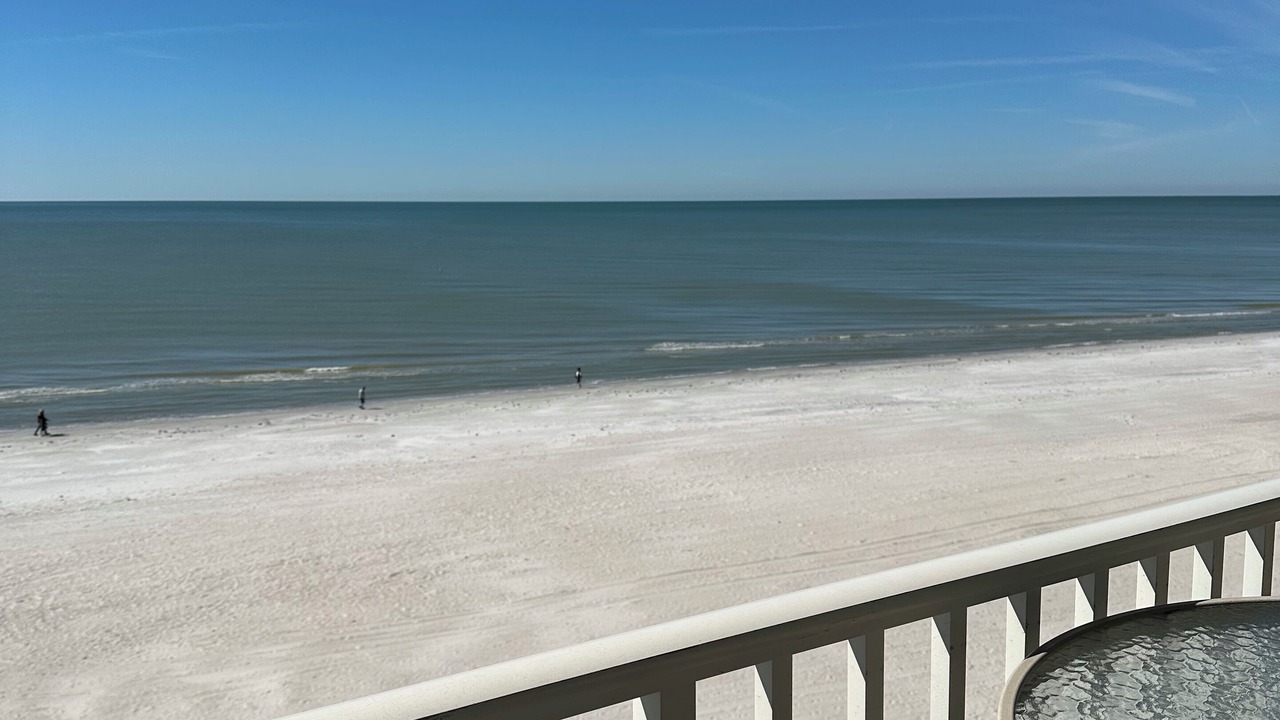 Photo of Outdoor in Redington Shores