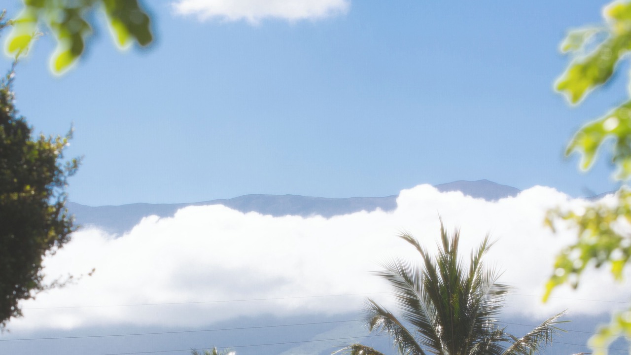 Photo of Others in Kihei