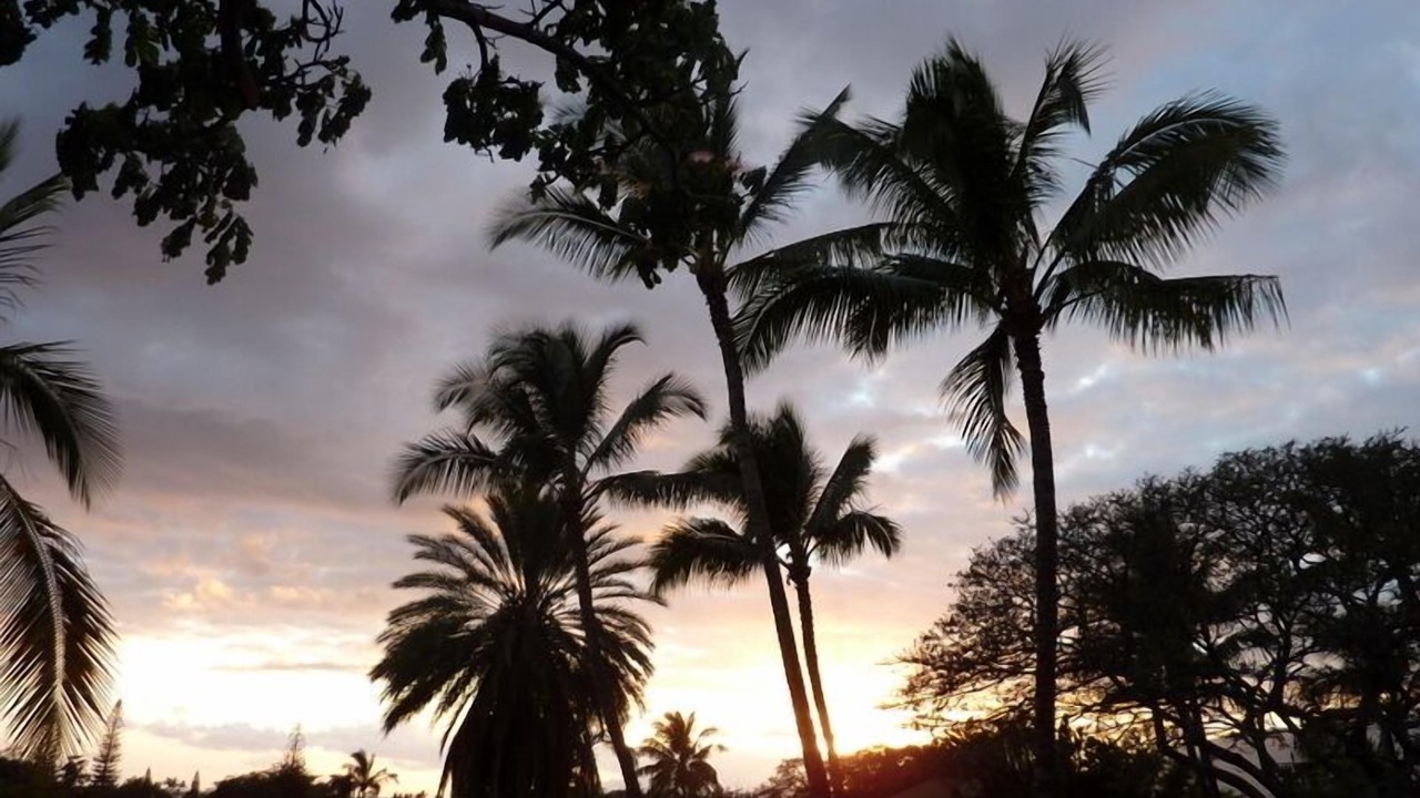 Photo of Others in Kihei
